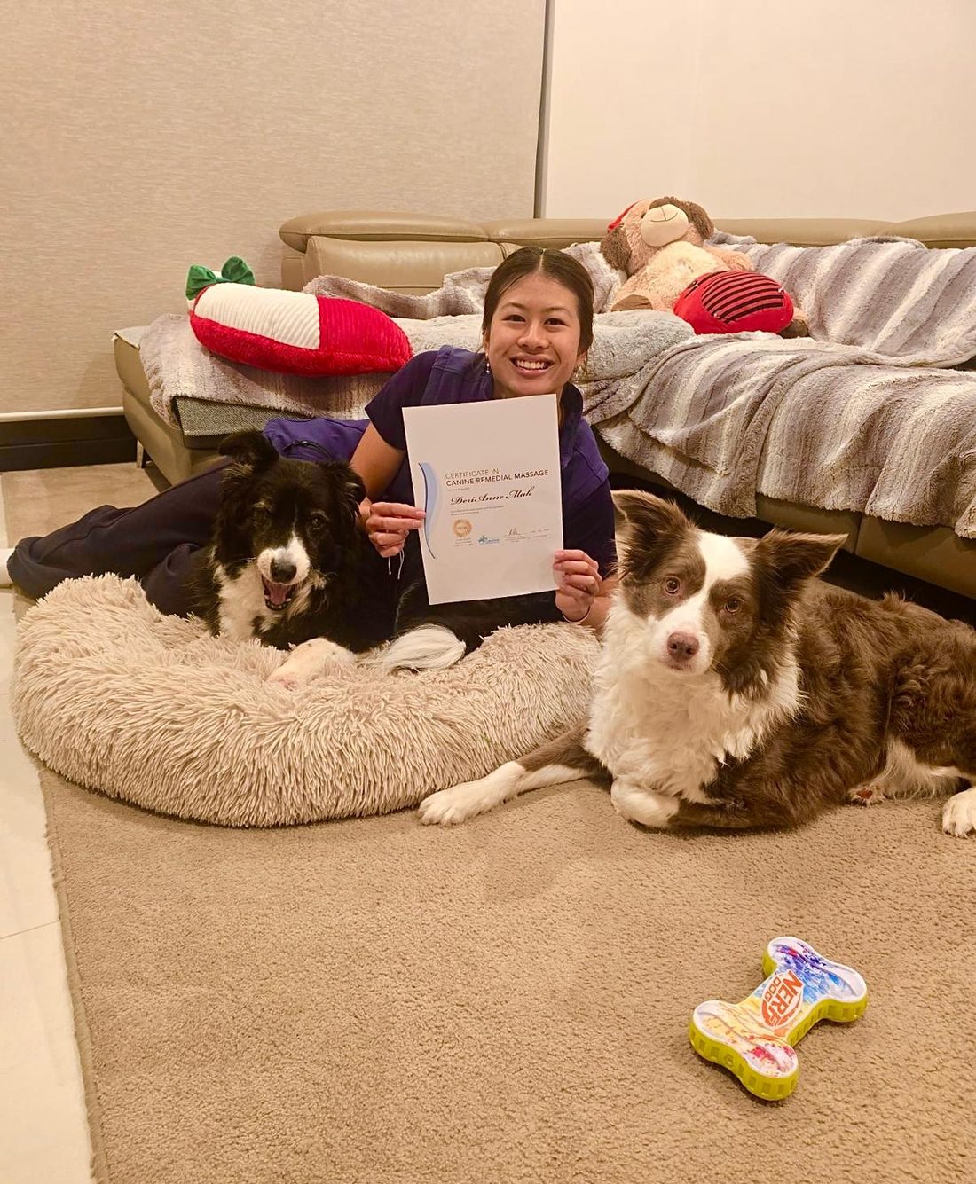 DeriAnne Mak holding her Certificate in Canine Remedial Massage, with two Border Collies resting beside her