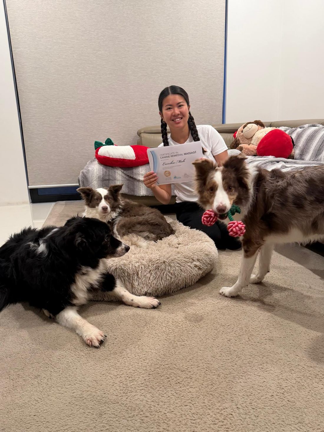 Ennika Mak holding her Certificate in Canine Remedial Massage, surrounded by three Border Collies