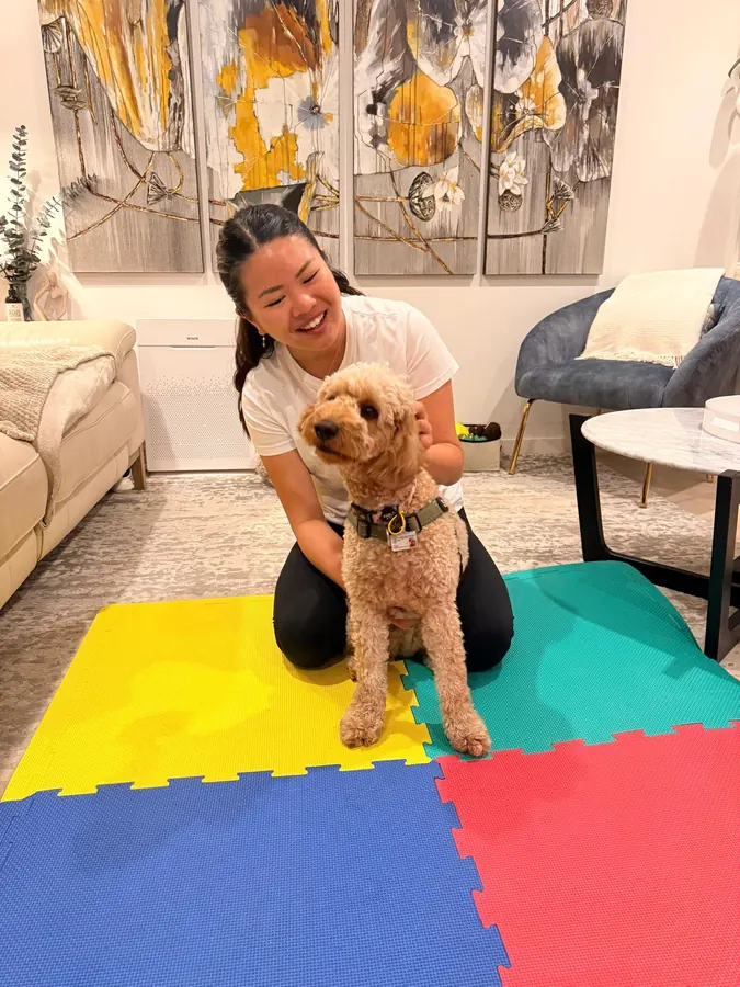 A therapist kneeling beside an apricot labradoodle at the end of a session